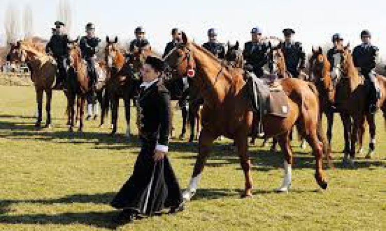 СДВР отбелязва Тодоровден и 70 години конна полиция